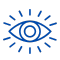Vision Icon